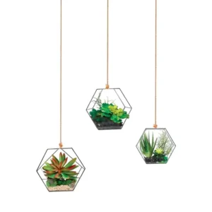 Autocollant Mural Suspensions Plantes repositionnable et sans trace