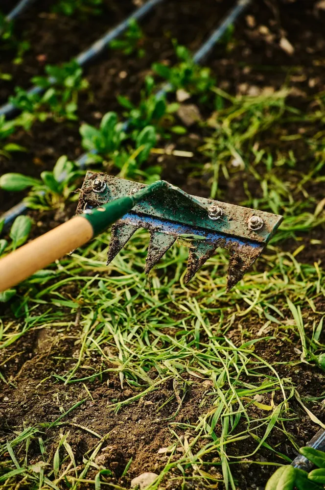 Déchaumeuse Growers & Co.